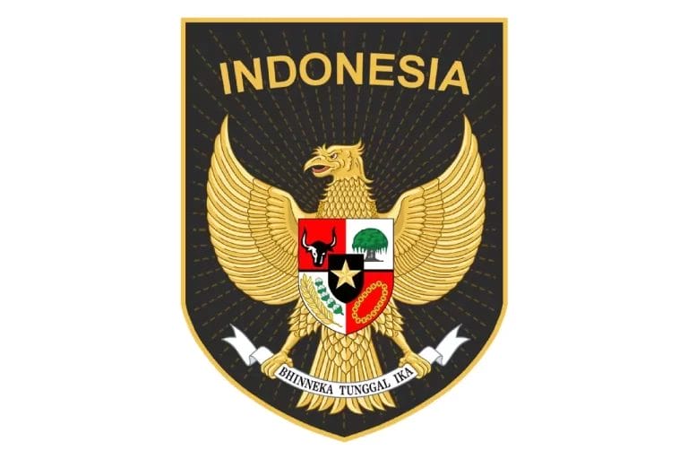 Timnas logo