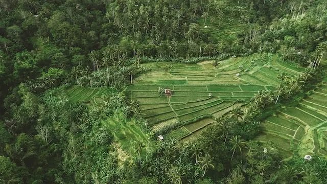 ilustrasi wisata alam terbuka