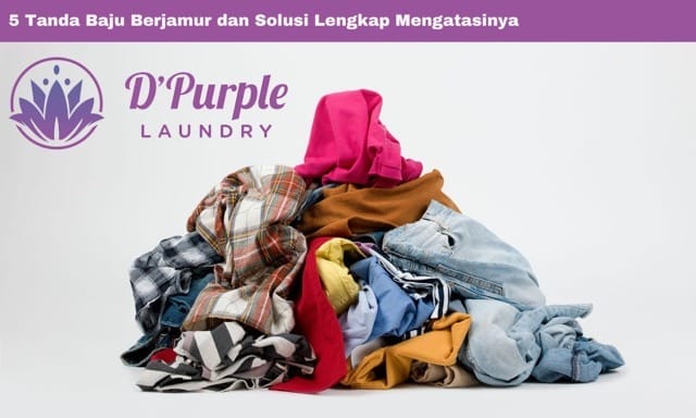 Feature Image 5 Tanda Baju Berjamur dan Solusi Lengkap Mengatasinya