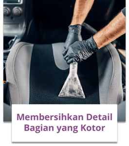 Dpurple 1 sec3 detail kotor Small