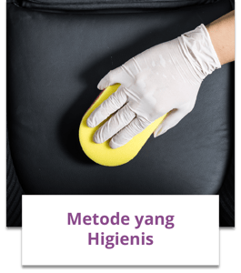 Dpurple 1 sec3 higienis Small